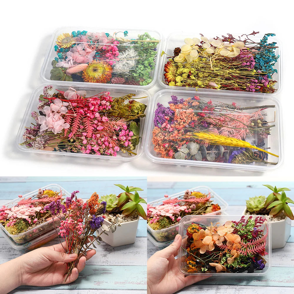 Square Rectangle Epoxy Resin Molds Real Dried Plants Flower Insect Specimen For Resin Epoxy Mold Silicone Jewelry Crafts Making