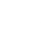 19/22/25mm Polishing Brushes Soft Hard Abrasive Buffing Grinding Wheel 2.35mm Shank Dremel Accessories for Jewelry Rotary Tools