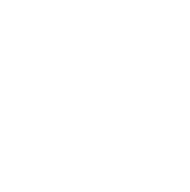 19/22/25mm Polishing Brushes Soft Hard Abrasive Buffing Grinding Wheel 2.35mm Shank Dremel Accessories for Jewelry Rotary Tools