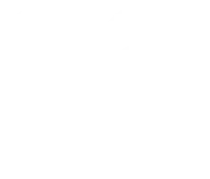 19/22/25mm Polishing Brushes Soft Hard Abrasive Buffing Grinding Wheel 2.35mm Shank Dremel Accessories for Jewelry Rotary Tools