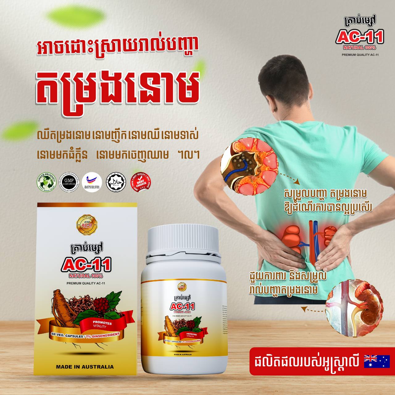 AC-11 - Advanced Immune Support & Anti-Aging Supplement