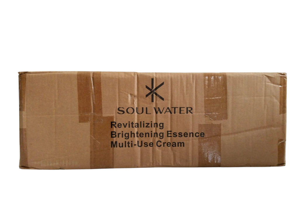 SOUL WATER Revitalizing Brightening Essence Multi-Use Cream